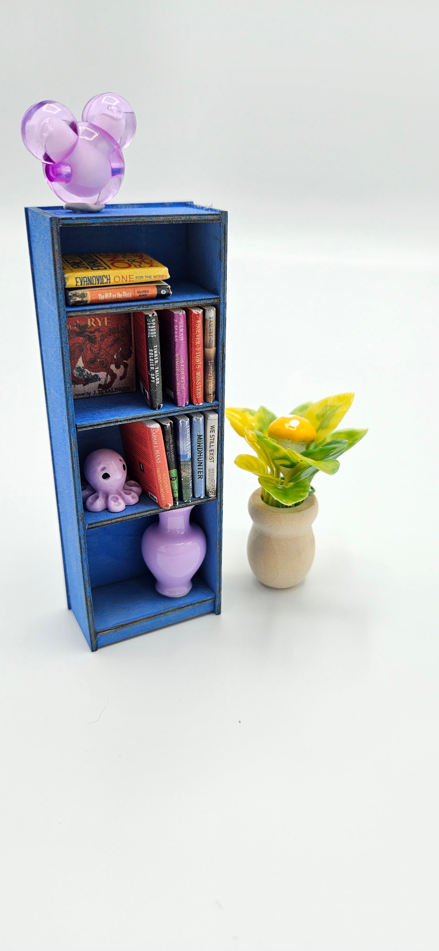 Tiny Bookcase Maker Kit