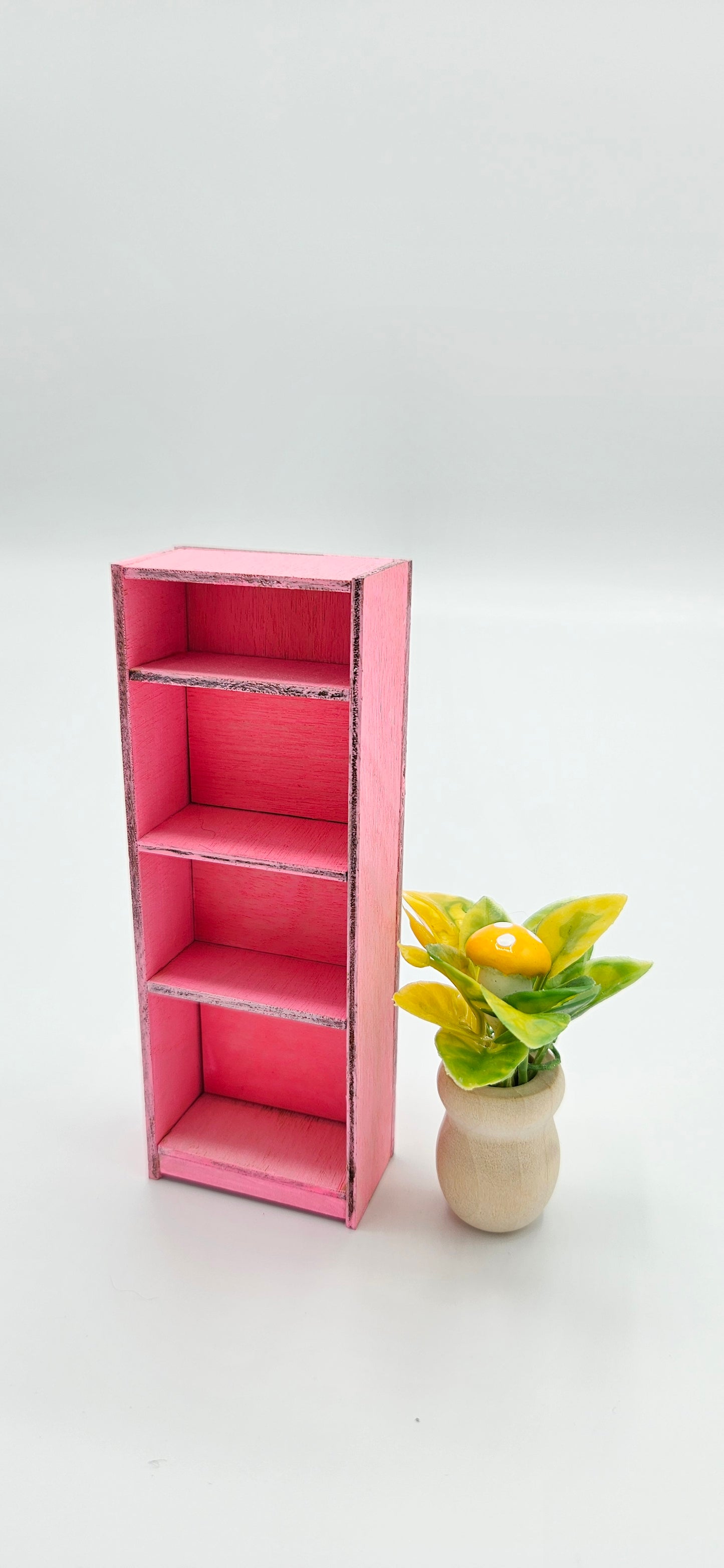 Tiny Bookcase Maker Kit